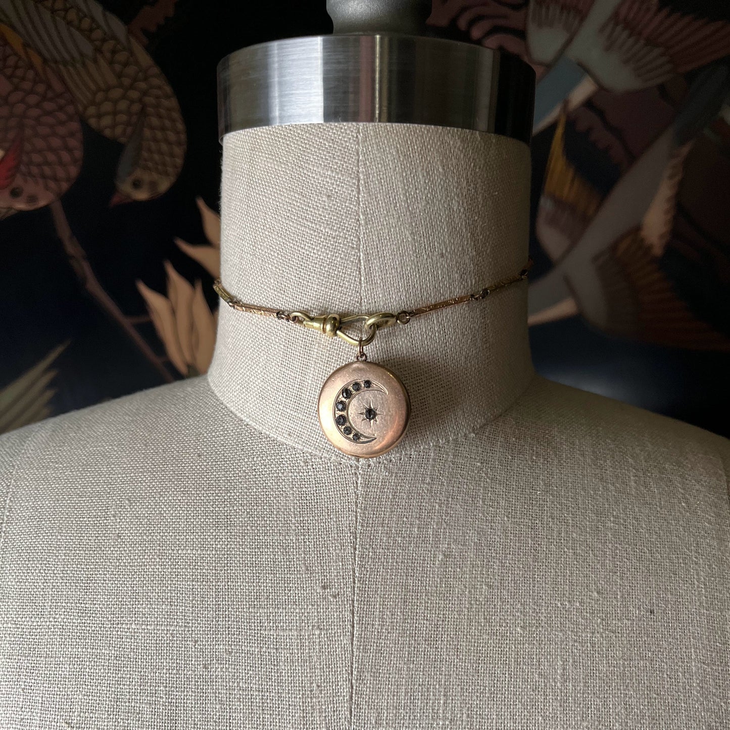 c. 1900s-1910s Celestial Locket | As Is Front Half Only