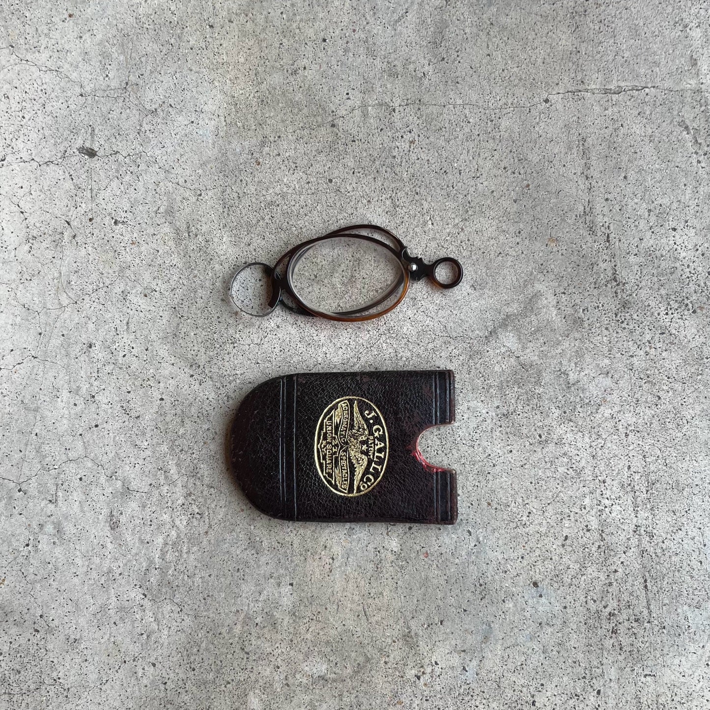 c. 1880s-1890s Tortoise Shell Pince Nez in Case