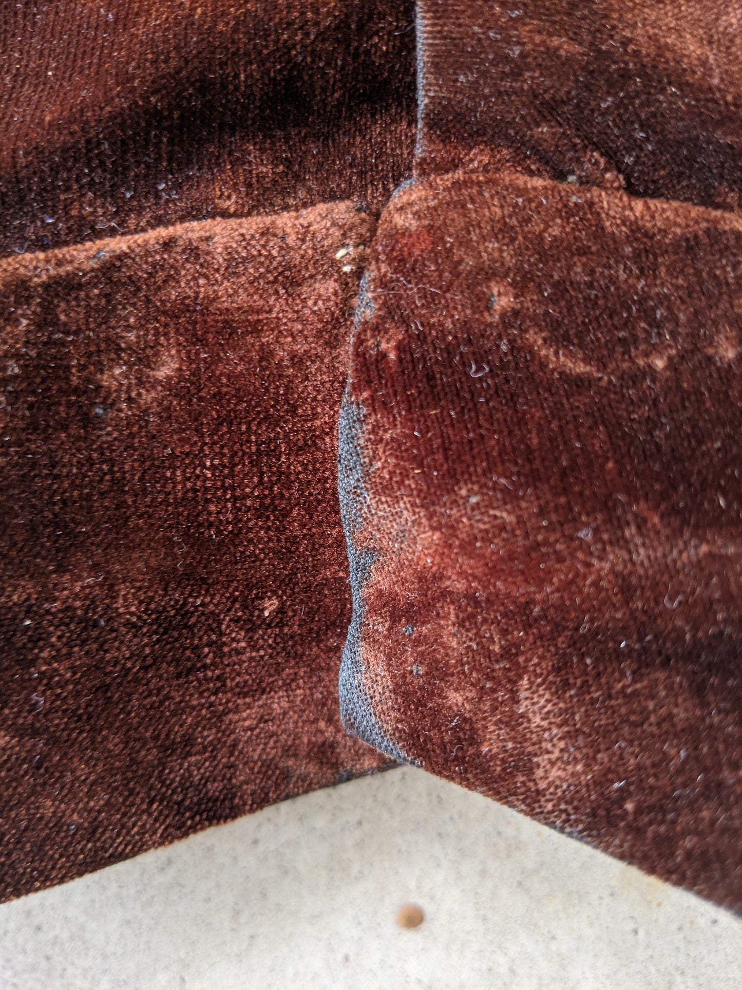 1890s-1900s Velveteen Collar