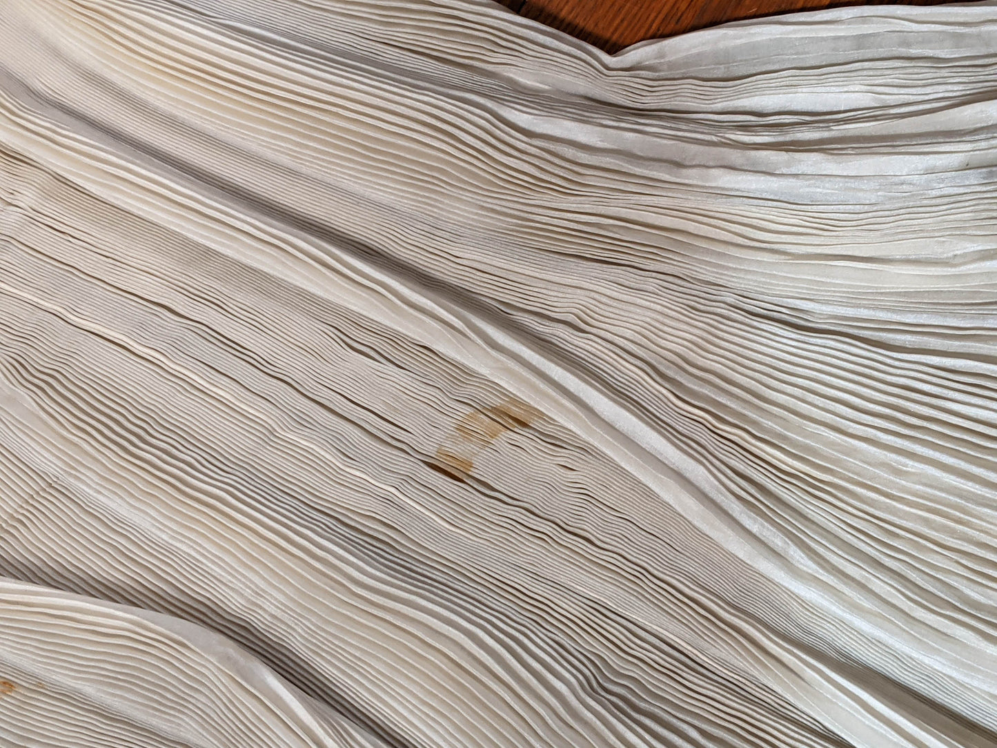 1900s Ethereal Silk Pleated Dress