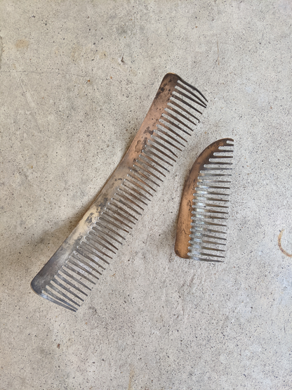 19th C. Silver Hair Comb Set