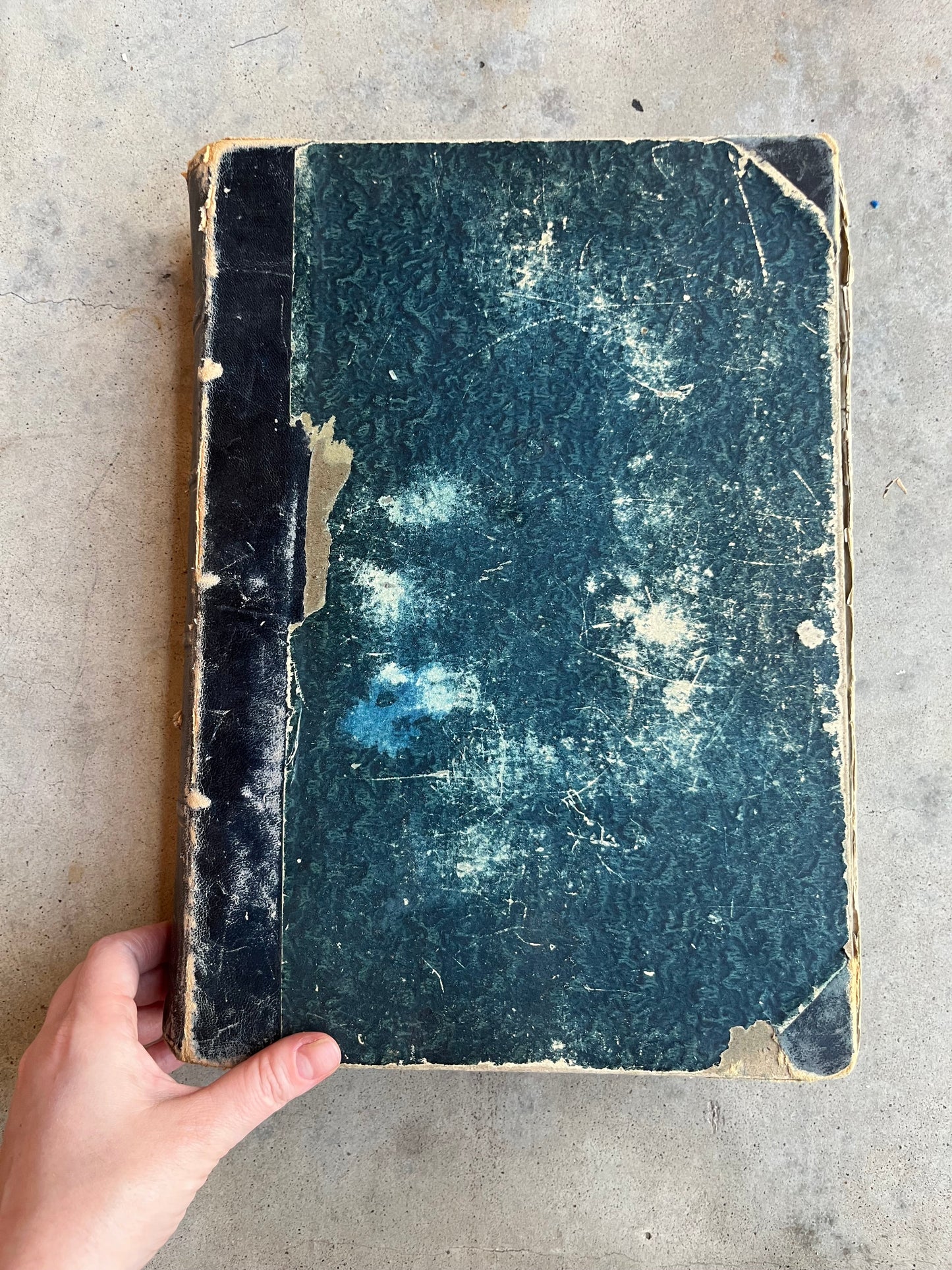RESERVED | 1886 Young Ladies' Journal