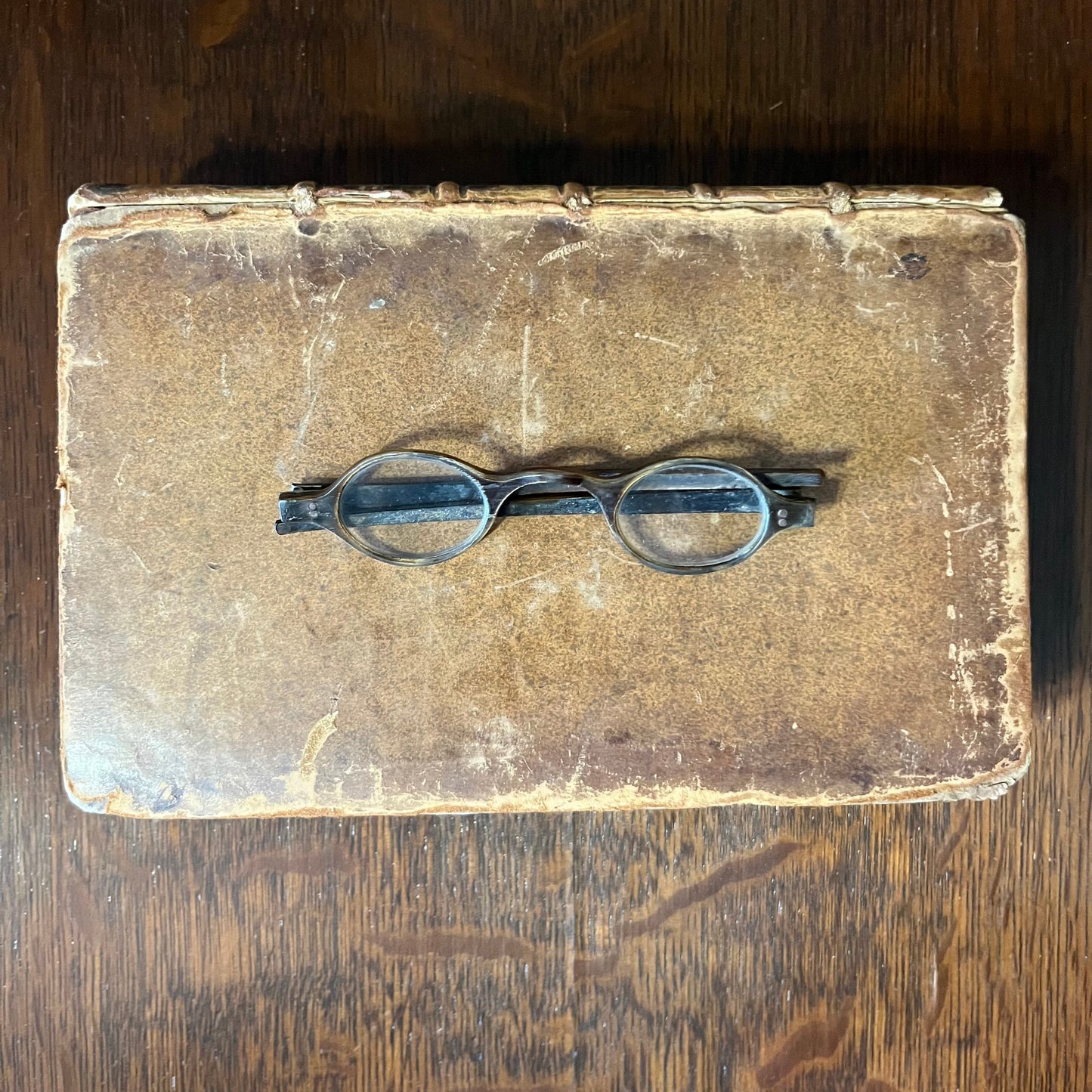 c. 1800 Tortoise Shell Wig Spectacles - Dark