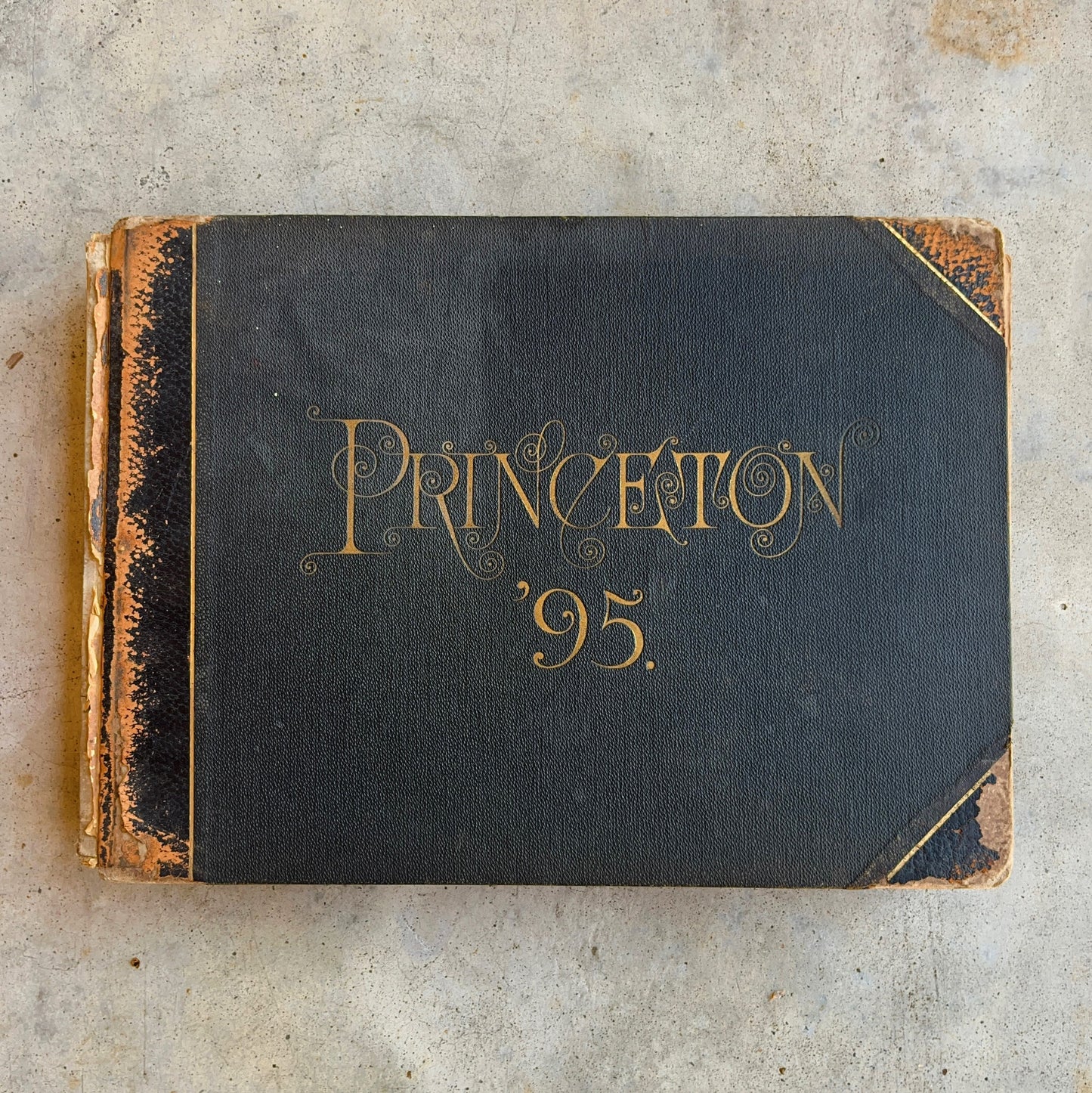 1895 Princeton University Yearbook