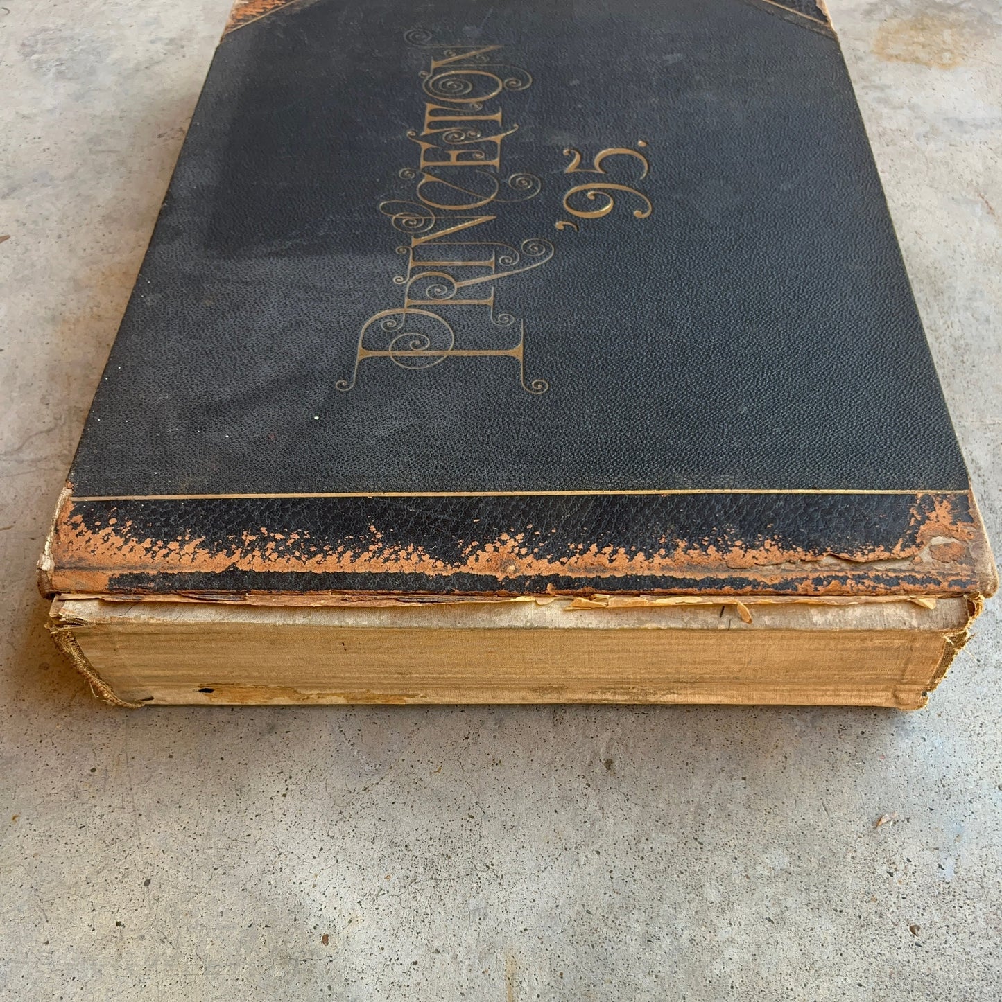 1895 Princeton University Yearbook