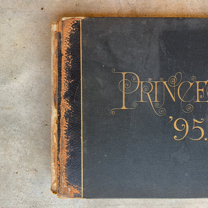 1895 Princeton University Yearbook
