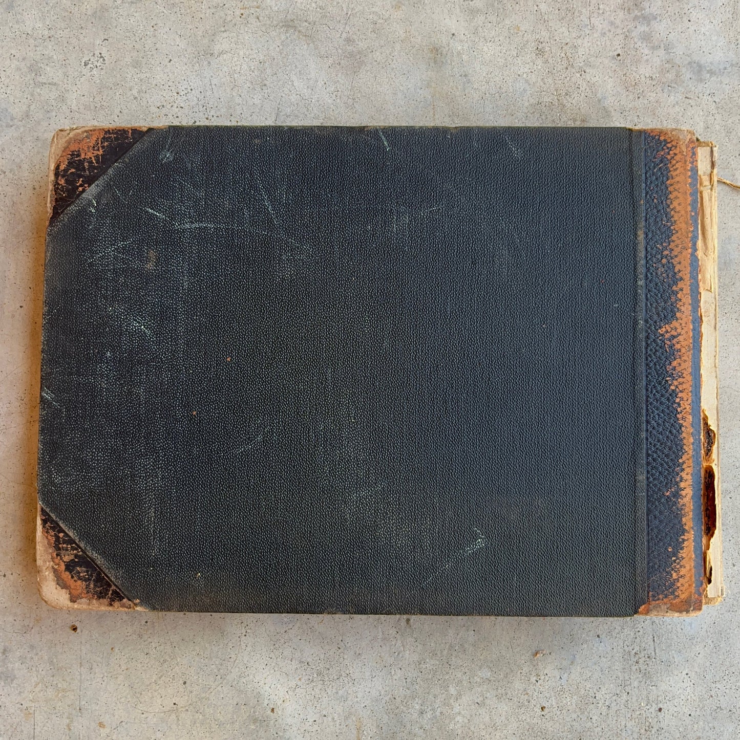 1895 Princeton University Yearbook