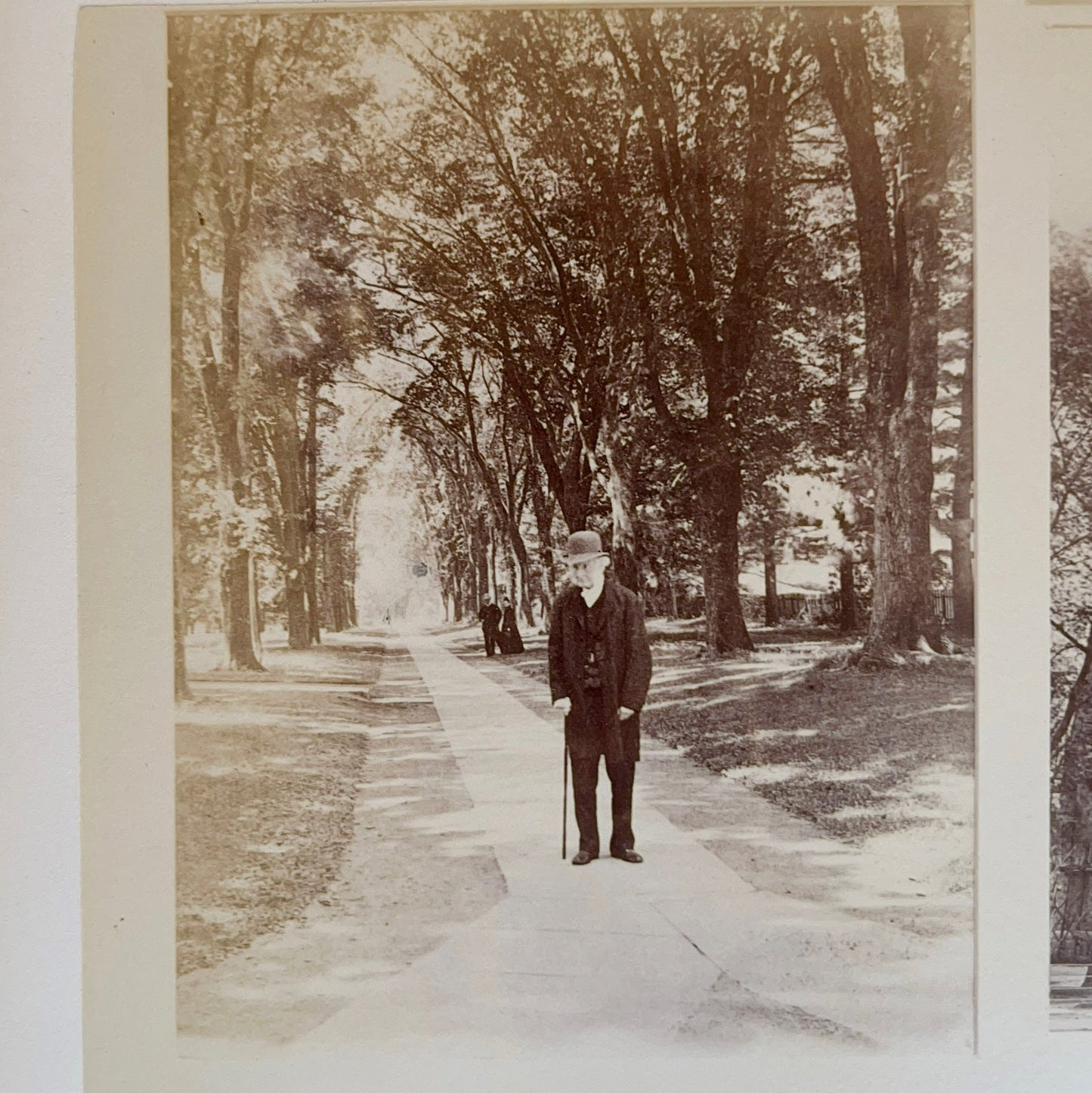1895 Princeton University Yearbook