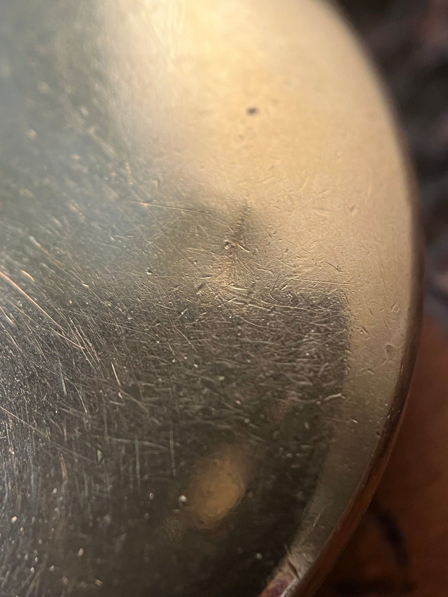 c. 1900s-1910s Gold Filled Horseshoe Locket