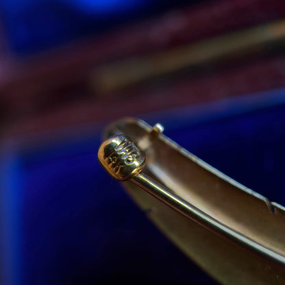 c. 1910s-1920s Wordley Allsopp & Bliss 14K Gold Sapphire Feather Brooch