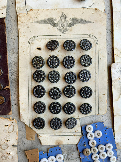 Large Lot of Antique Buttons + Notions 500+ Pcs
