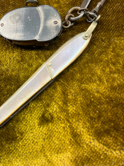 RESERVED - Georgian Steel Chatelaine