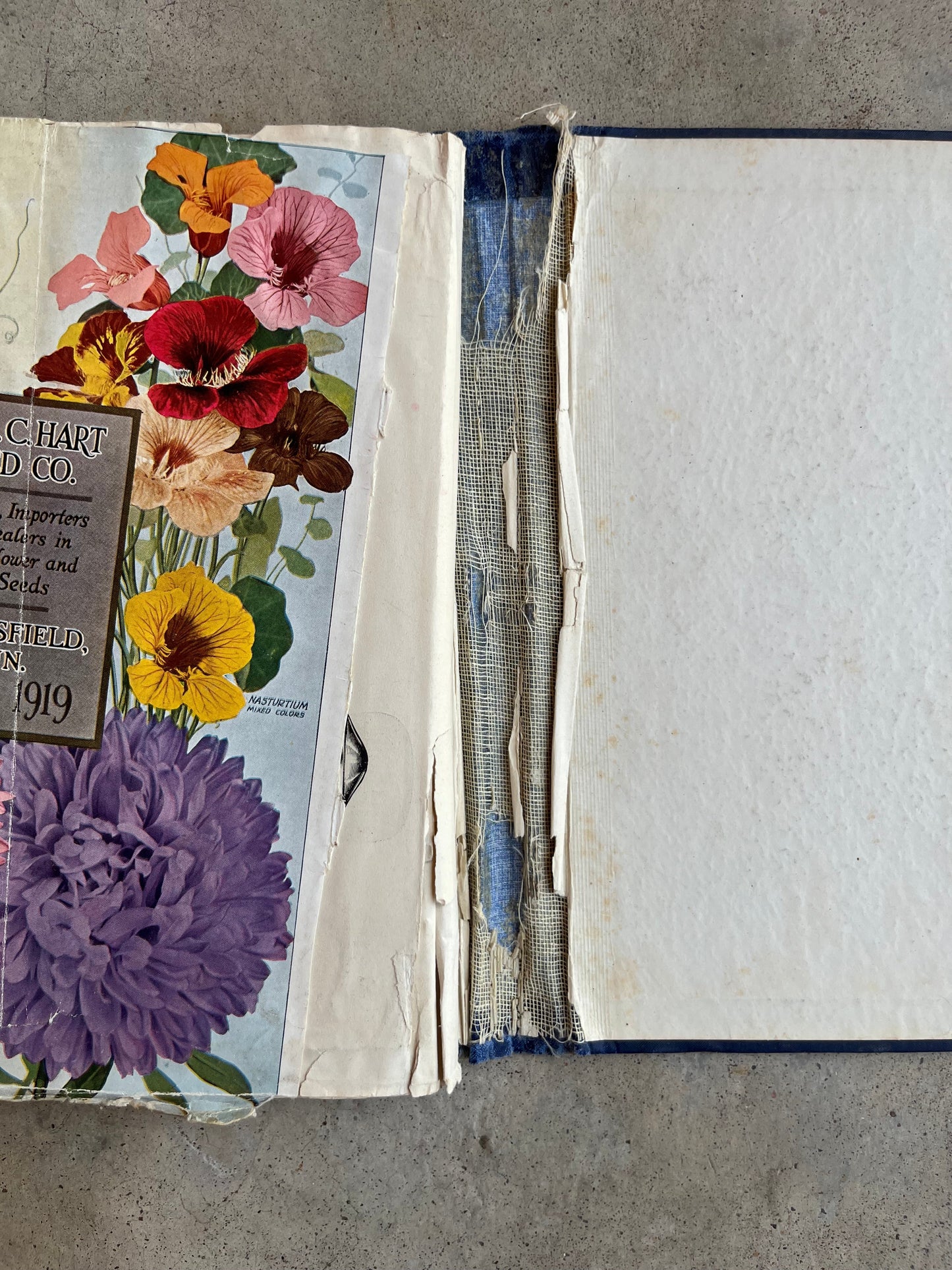 c. 1890 National Casket Co. Catalog Scrapbook