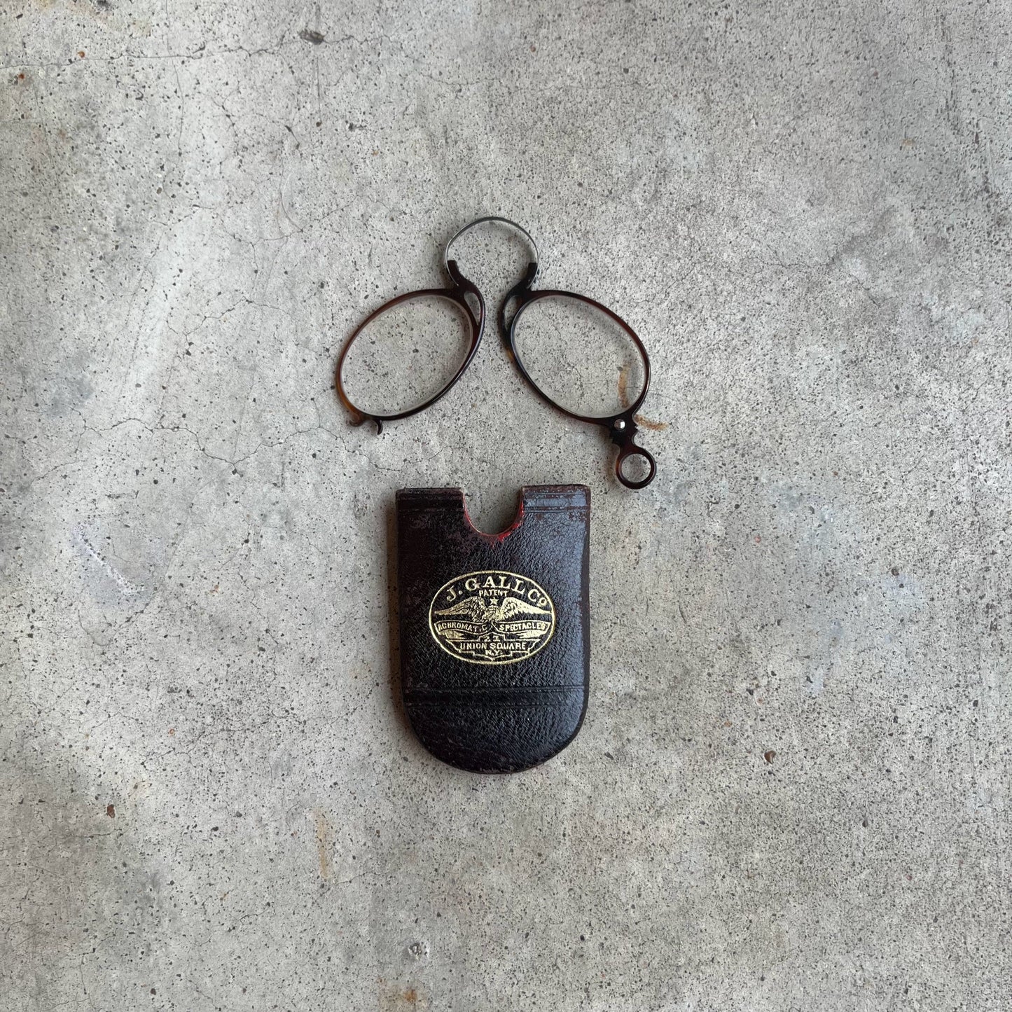 c. 1880s-1890s Tortoise Shell Pince Nez in Case