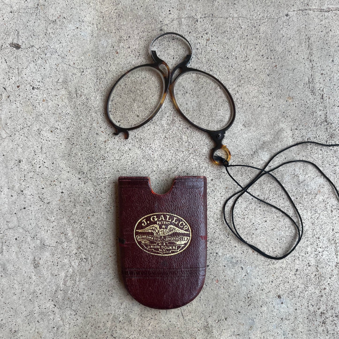 c. 1880s-1890s Tortoise Shell Pince Nez with Cord + Case