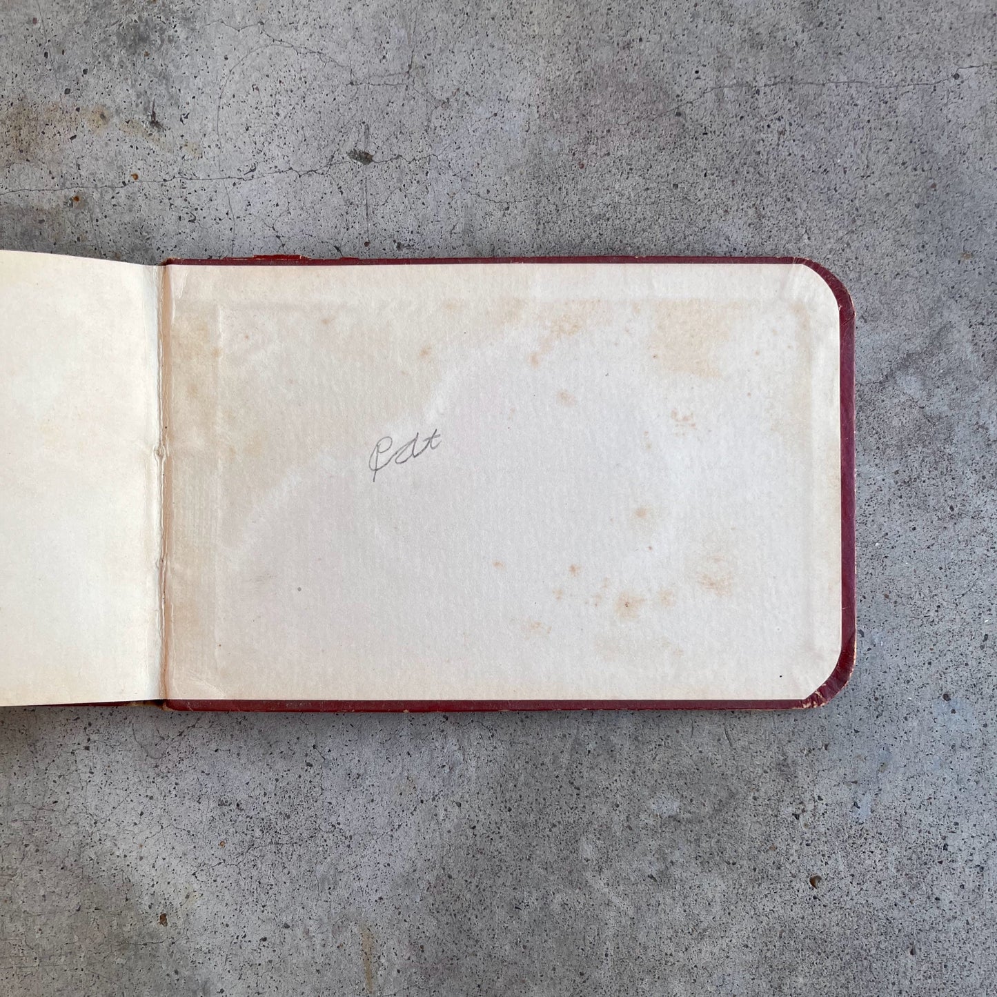 1880s Owl "Galaxy" Autograph Album