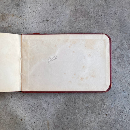 1880s Owl "Galaxy" Autograph Album