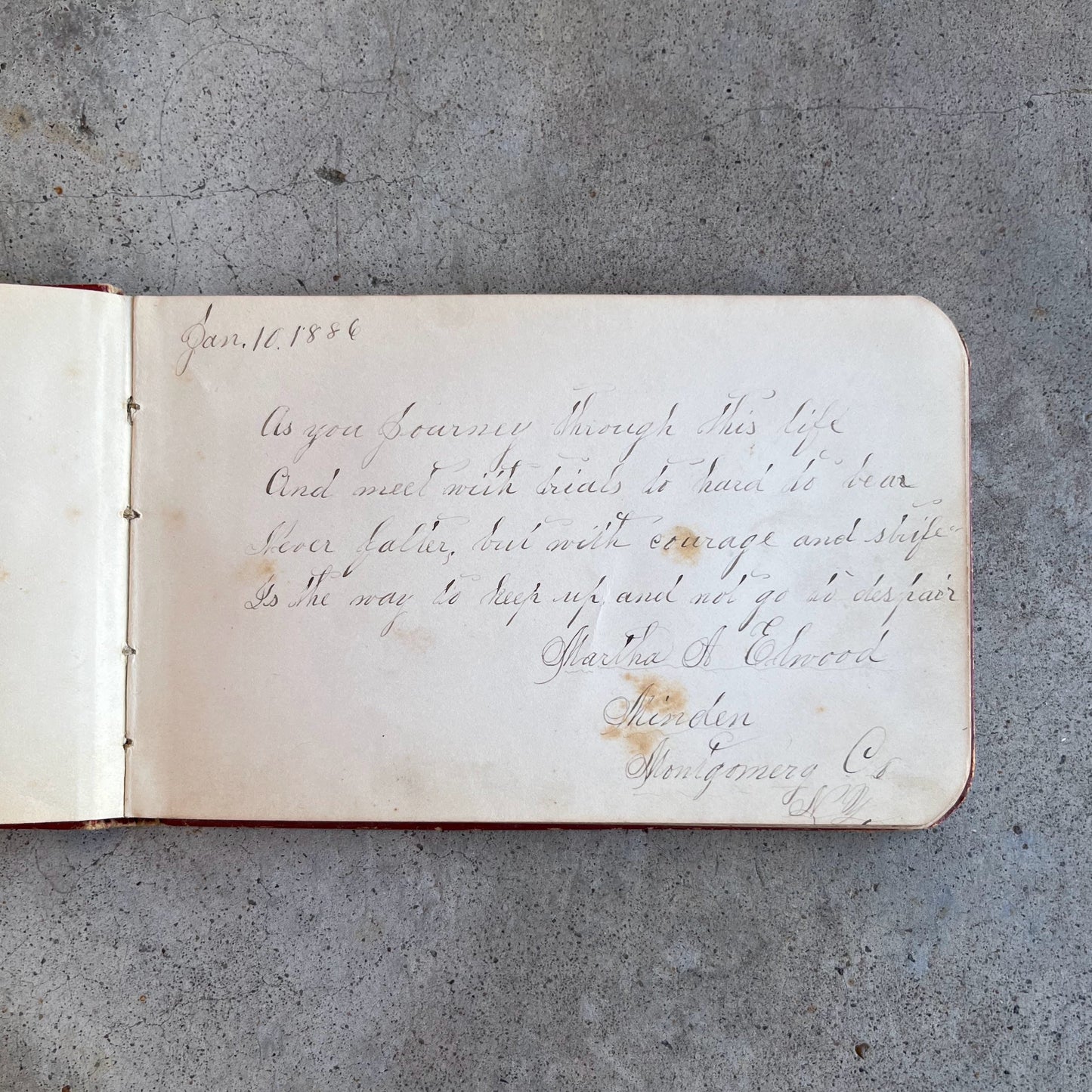 1880s Owl "Galaxy" Autograph Album
