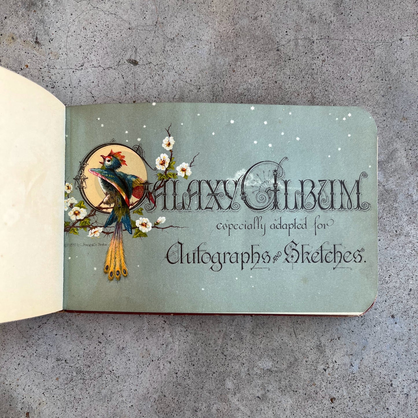 1880s Owl "Galaxy" Autograph Album