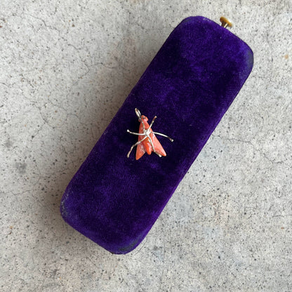 Early 19th c. 14k Gold Coral Fly Pendant