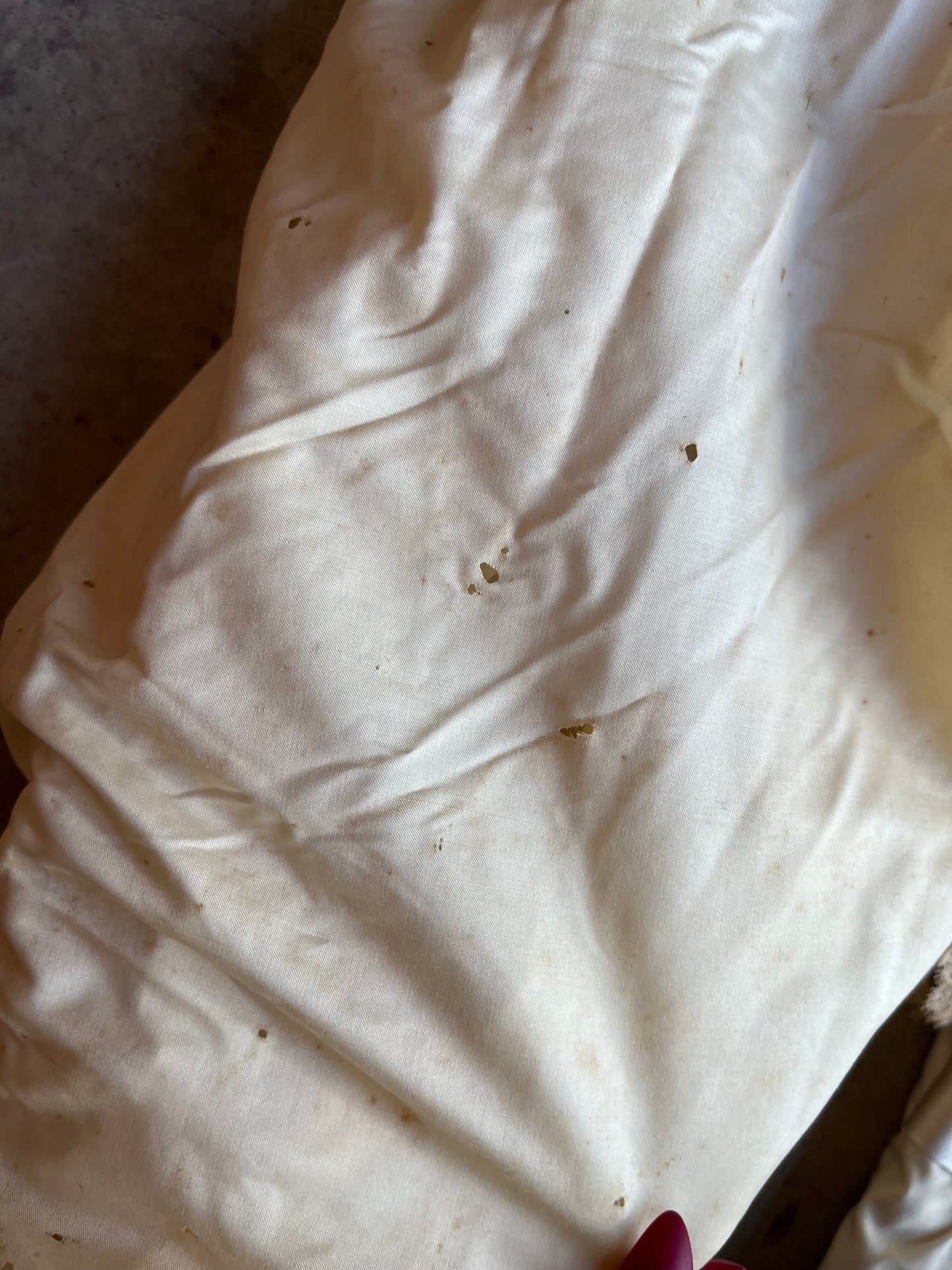 1890s Wedding Bodice + Shoes With Provenance