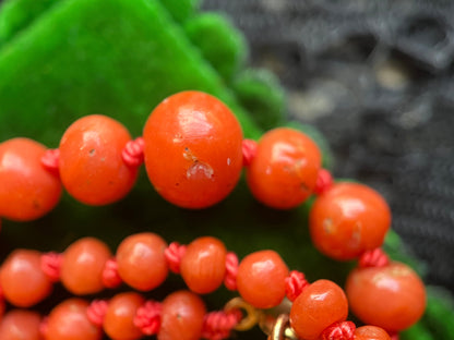 Early 20th c. Coral Bead Necklace