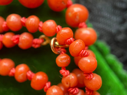 Early 20th c. Coral Bead Necklace