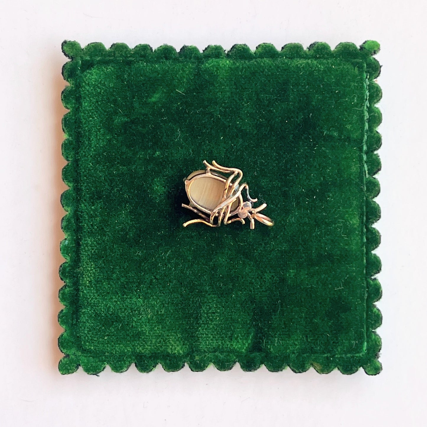 c. 1900s Tigers Eye Beetle Conversion Pendant
