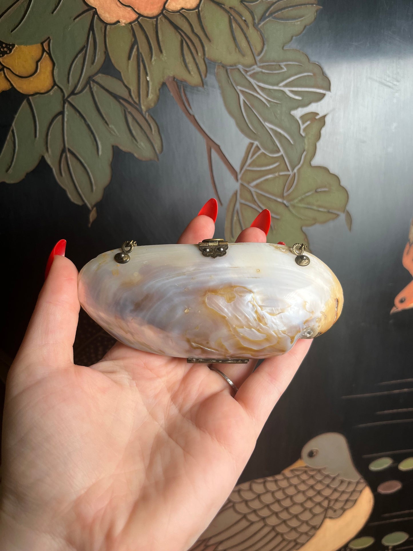 Turn of the Century Shell Purse