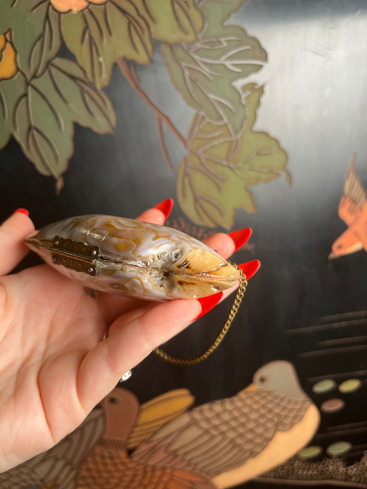 Turn of the Century Shell Purse