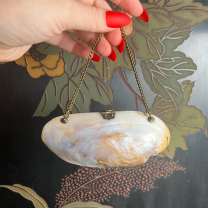 Turn of the Century Shell Purse