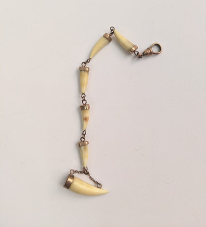 Victorian Bone Tooth Watch Fob Chain with Dog Clip