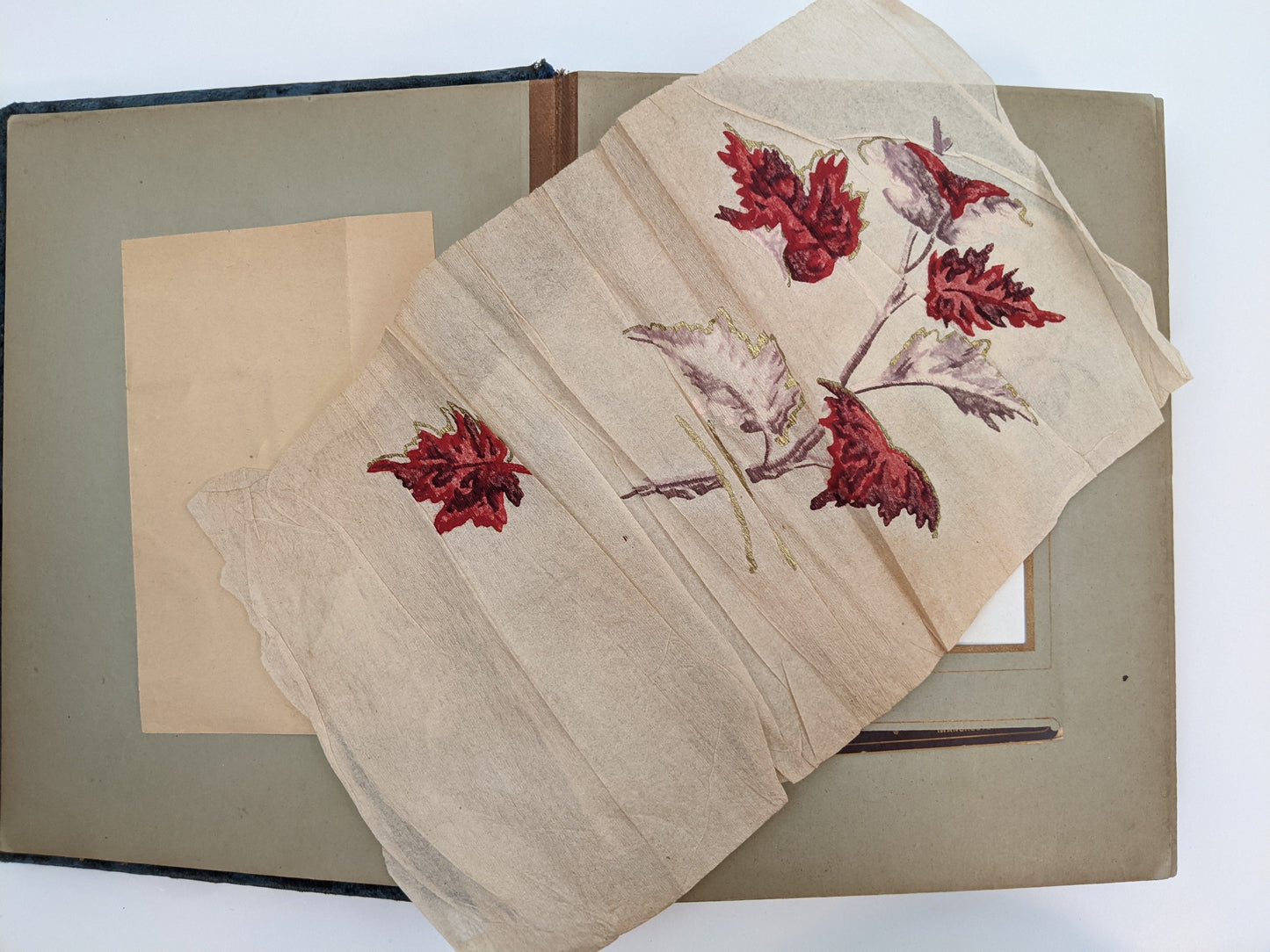 Blue Victorian Photo Album with Photos