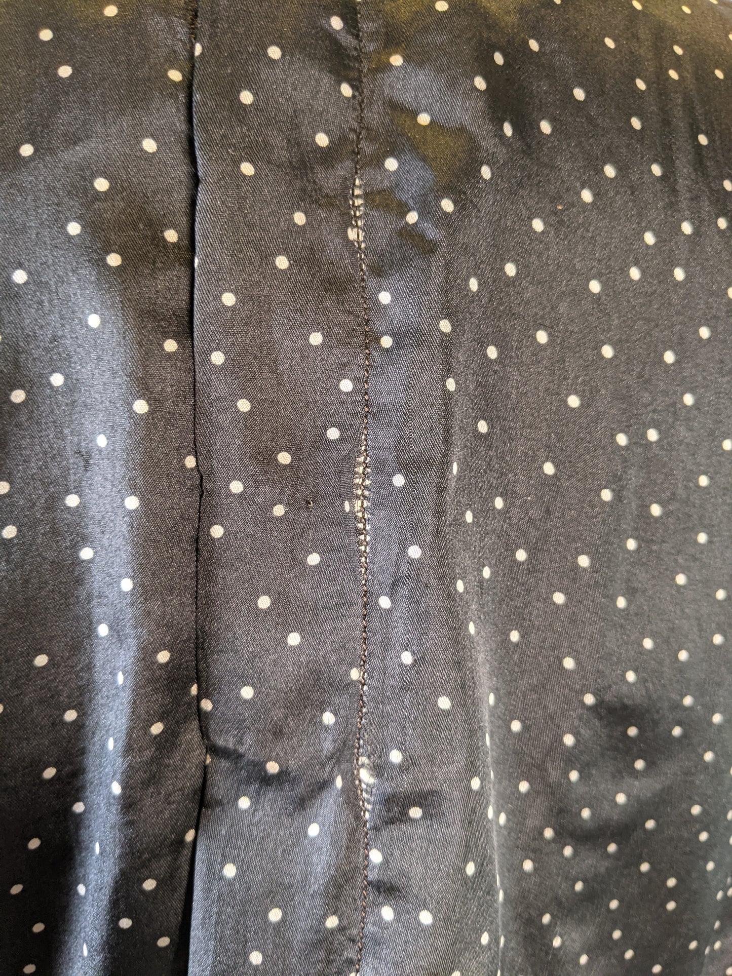 1910s Polka Dot Blouse