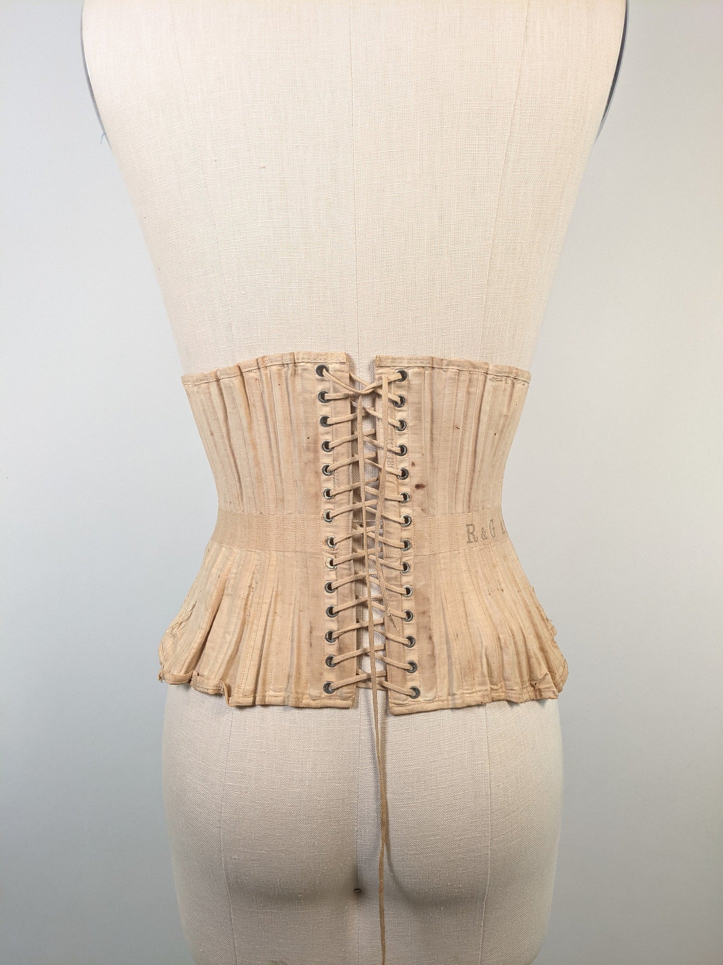 R&G Corset | Study + Display