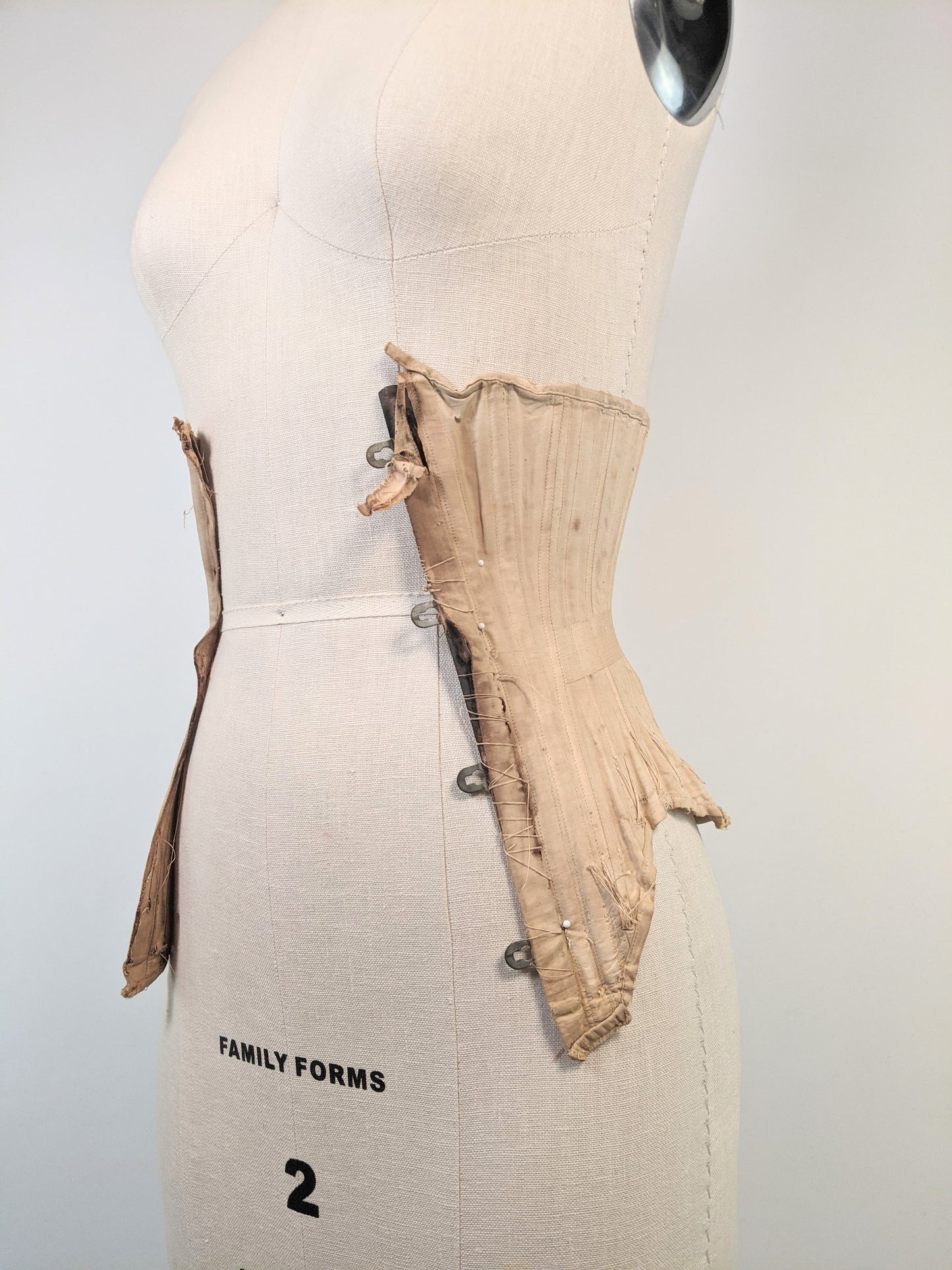 R&G Corset | Study + Display