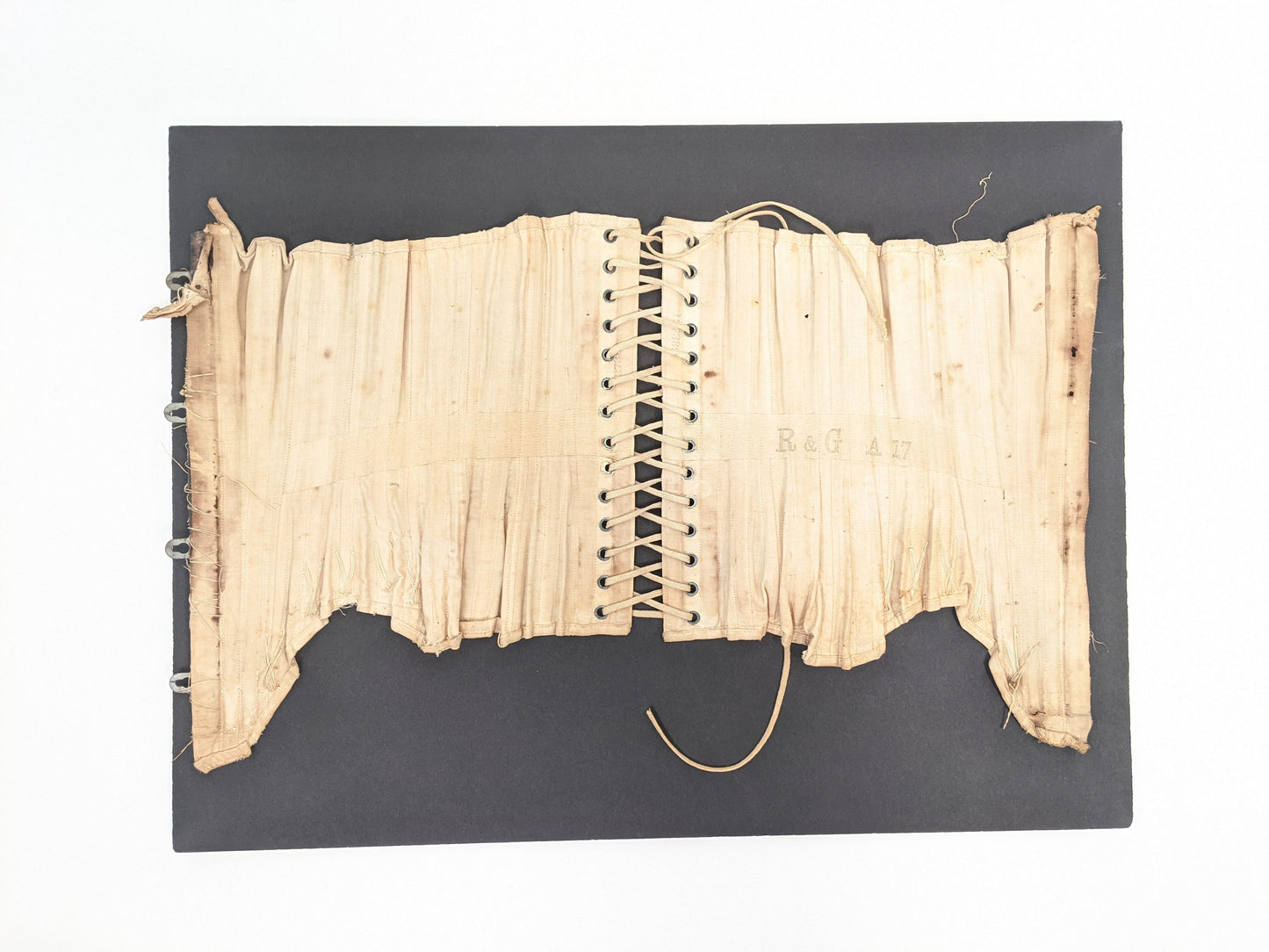 R&G Corset | Study + Display
