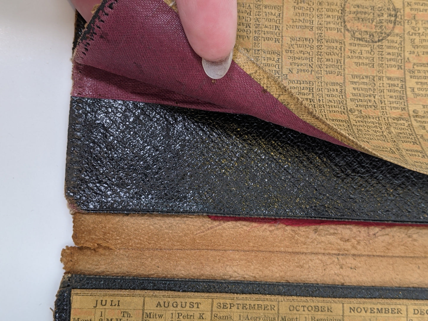 1888 Spiderweb Pocketbook