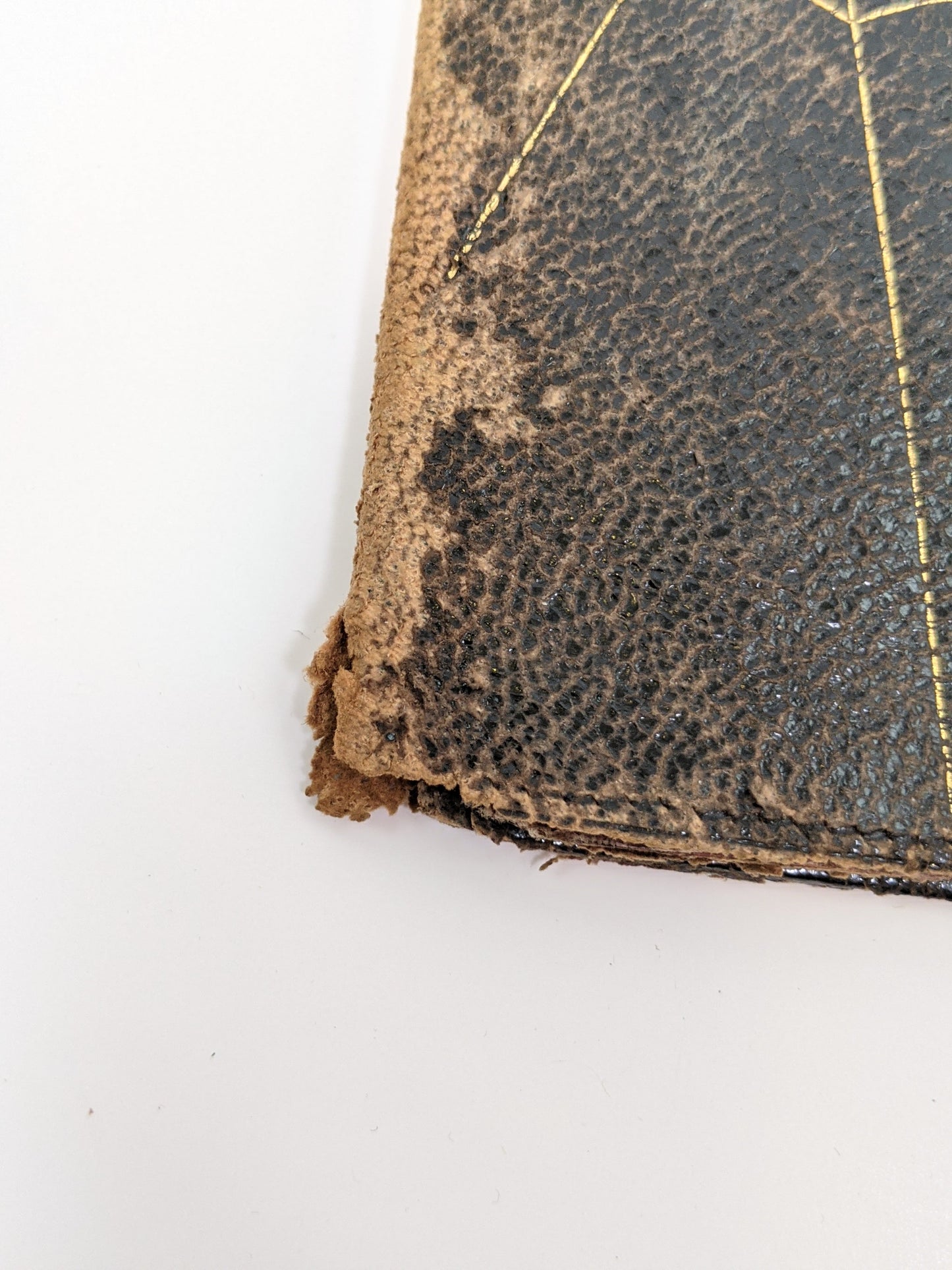 1888 Spiderweb Pocketbook