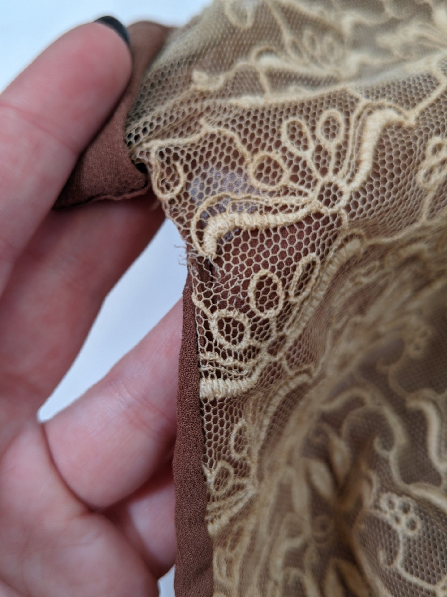 1920s Sheer Silk + Lace Dress