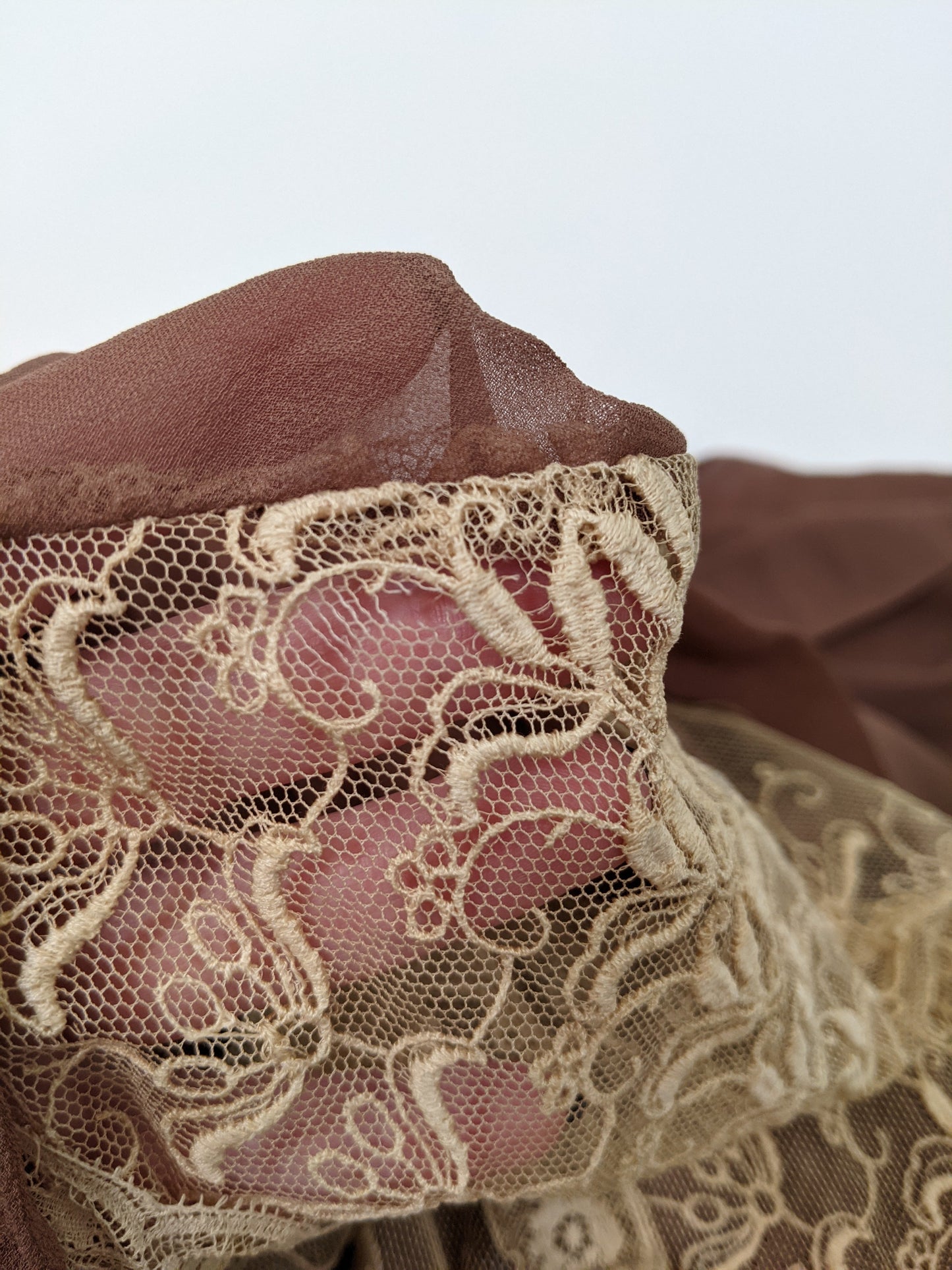 1920s Sheer Silk + Lace Dress