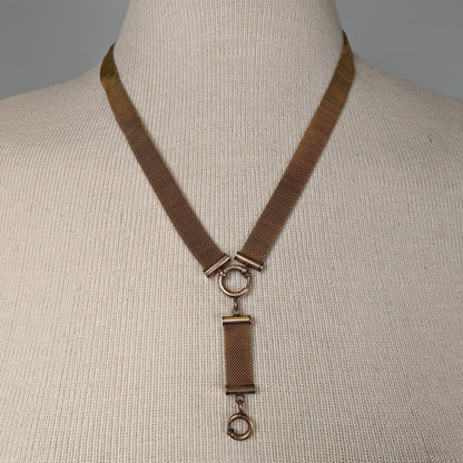 RESERVED | 19th C. Mesh Chain
