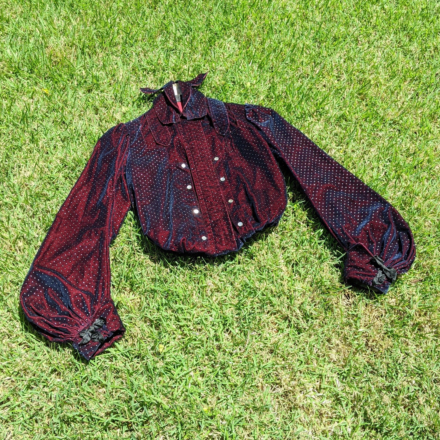 1902-1903 Velveteen Bodice