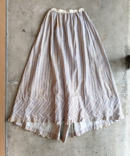 1880s Cotton Dress + Skirt