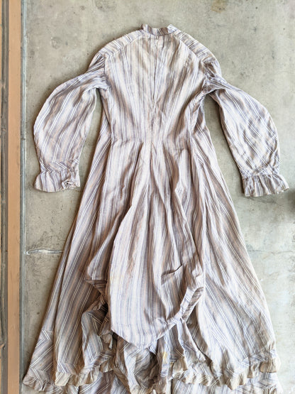 1880s Cotton Dress + Skirt