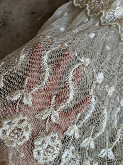 1900s Net Lace Dress
