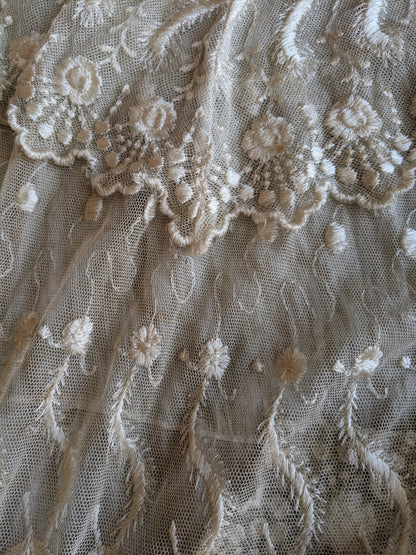 1900s Net Lace Dress