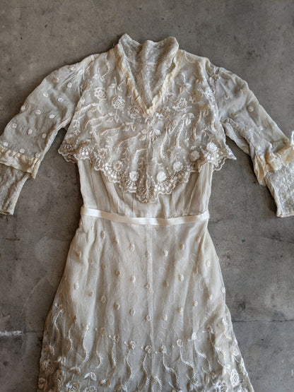 1900s Net Lace Dress