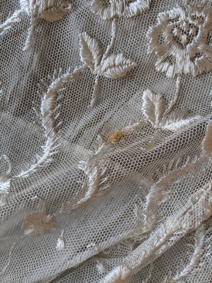 1900s Net Lace Dress