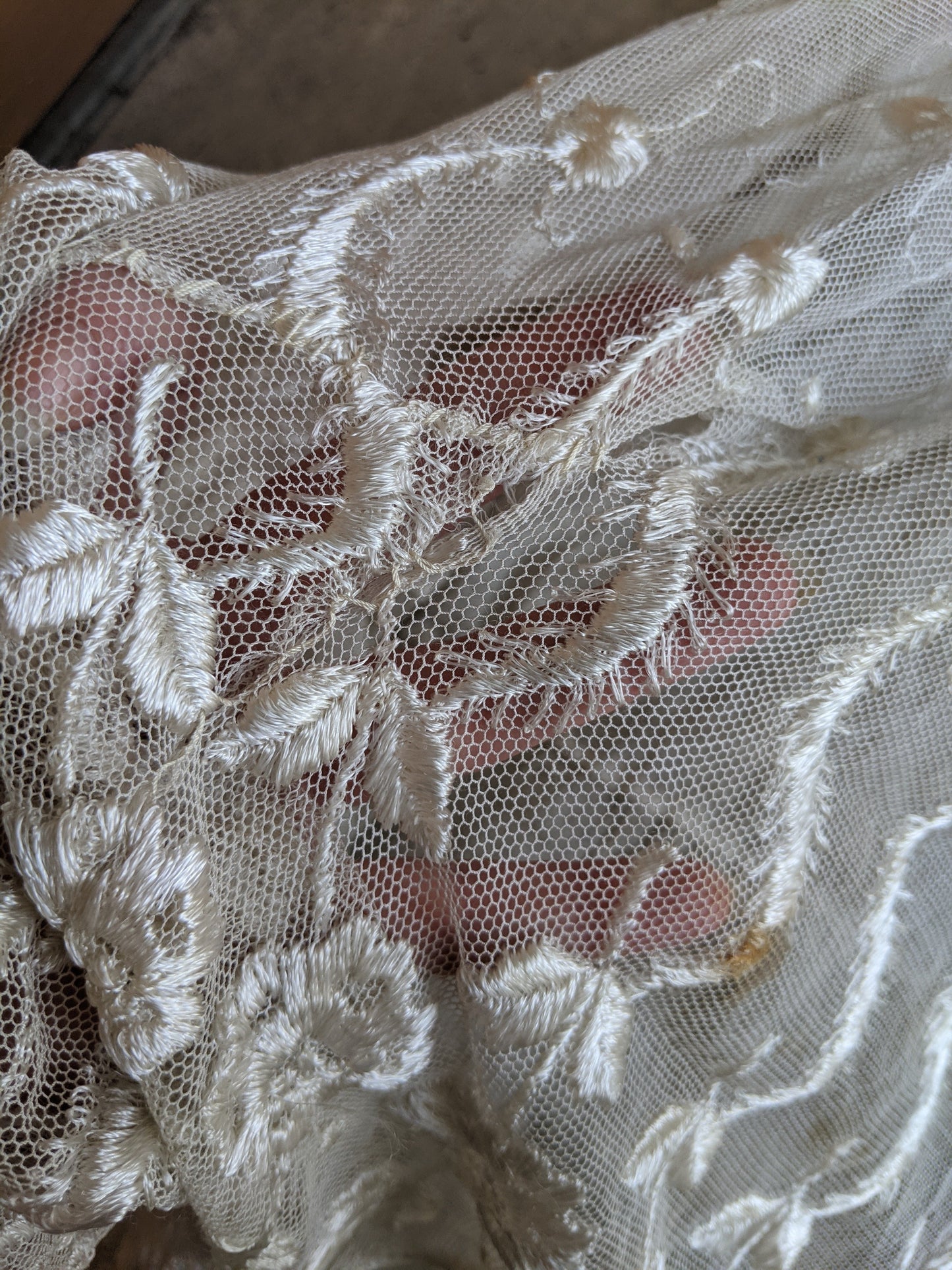 1900s Net Lace Dress